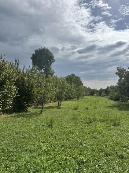Teren de 1503 mp, în Brebu