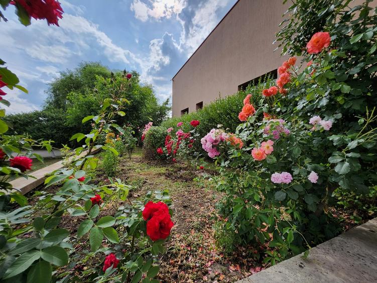 Baneasa Vila cu piscina si curte interioara - 1