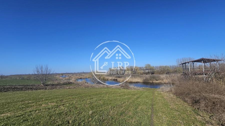 Loturi de Casa pe malul Lacului Creața, Dascălu – 460 mp + Drum servitute - 9