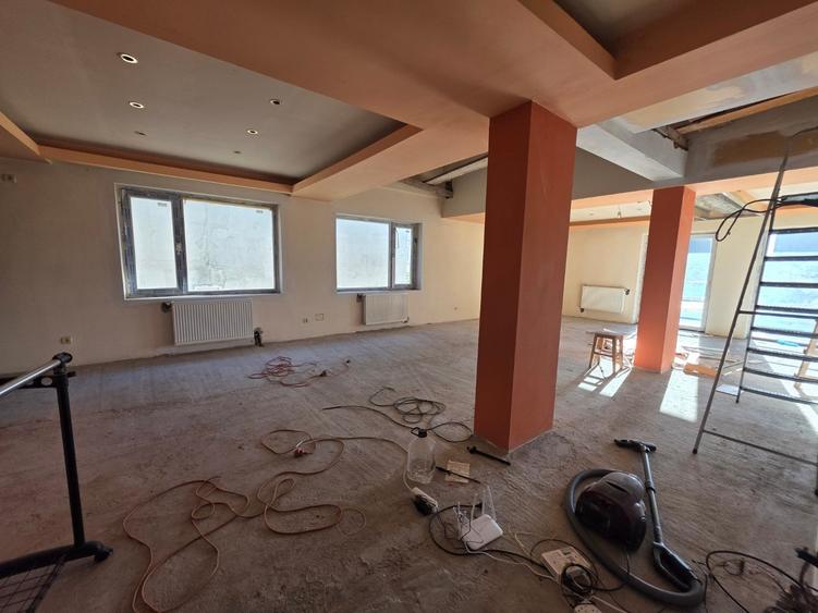 Dristor, Camil Ressu, 15 minute metrou, pe strada Ilioara - 15