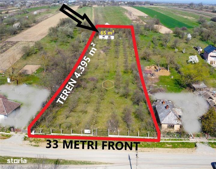 Casa cu 2 camere si livada | Teren 4.395 mp cu alee printre 70 de pomi - 3