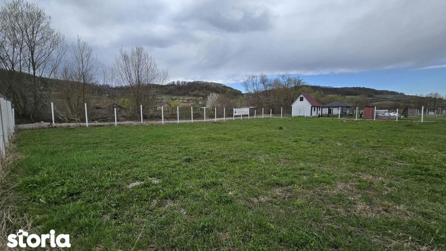 Teren drept ca-n palma - 4