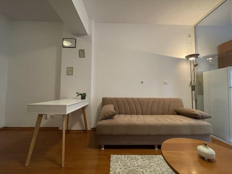 Apartament cu 2 camere de inchiriat in zona Marriott - 8