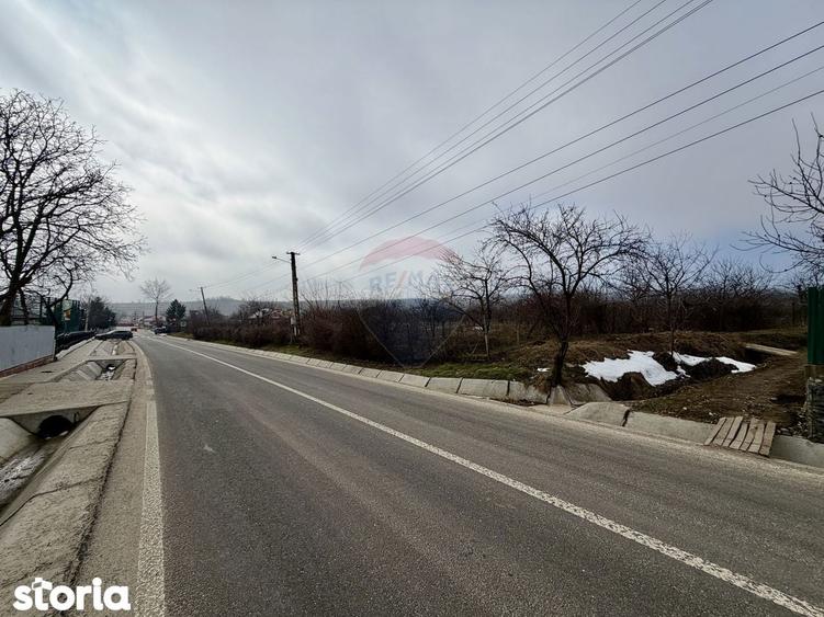 Casa cu 4 camere si teren 7727 mp Blidari - 4