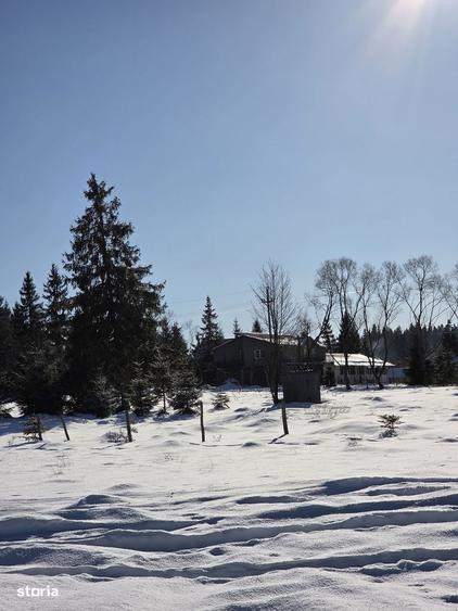 Teren 4000mp, in zona montana, Belis/Cluj - 9