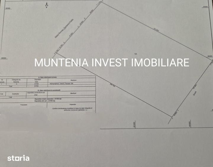 Teren 31703 mp. intravilan Purcareni, Com. Micesti - 1