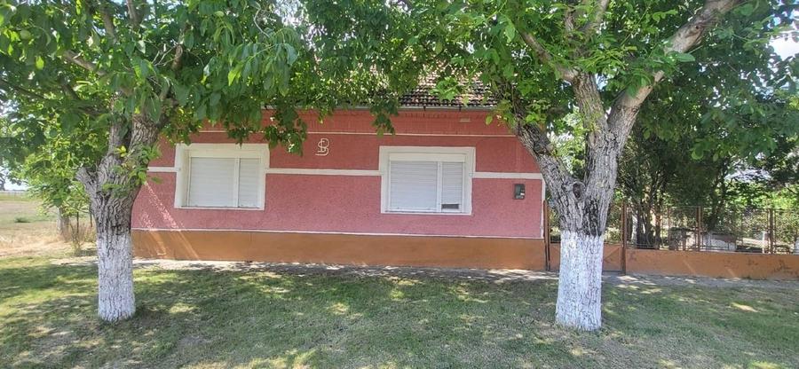 Casa cu 1500mp teren la Bobda, Jud. Timis - 3