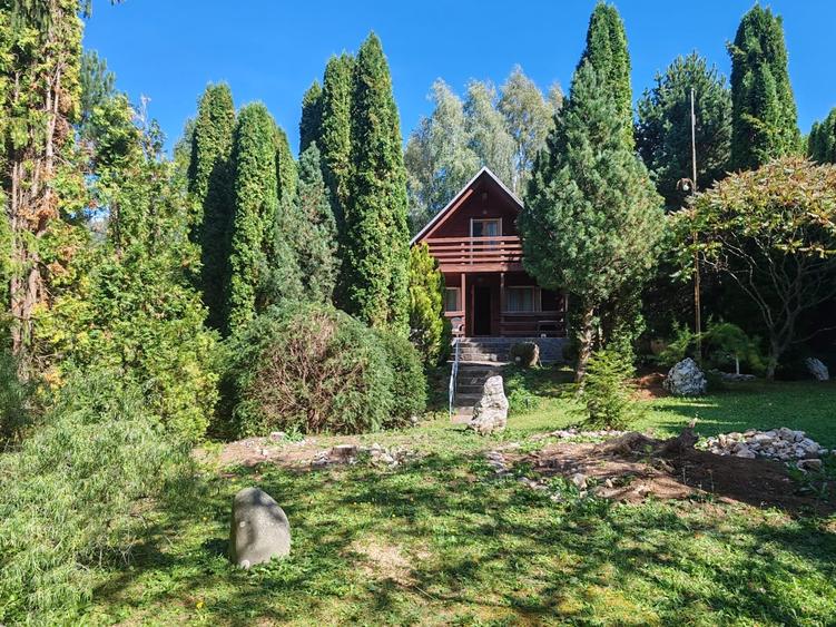 Casă individuală cu 4 camere cu Teren 1780 Mp în Piatra Arsă