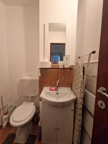 Apartament cu 3 camere decomandat, mobilat în Aradului