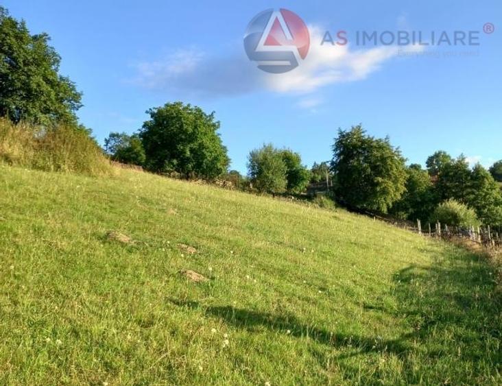 Teren intravilan de 10669 mp, în Moieciu de Jos