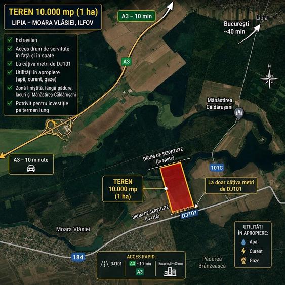 Teren de 10000 mp, în Lipia