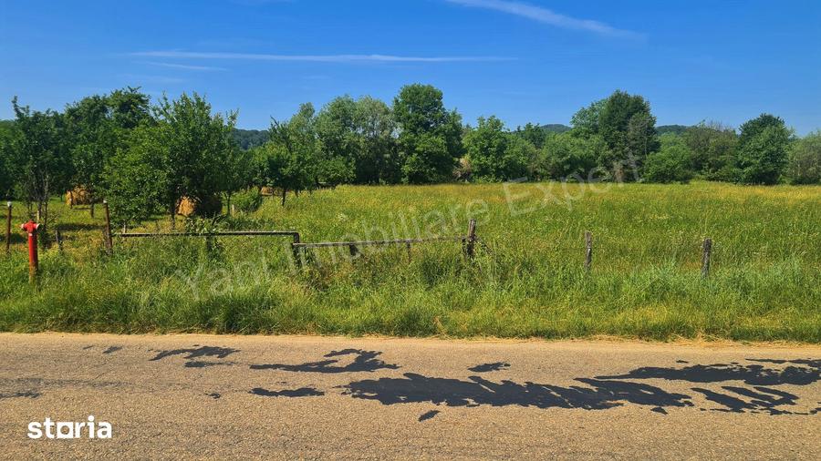 Teren de 2000 mp, în Domnești
