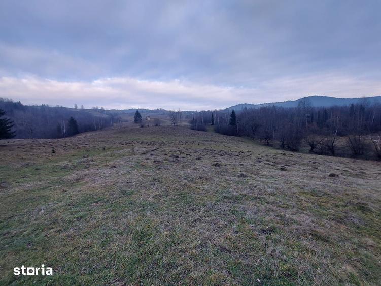 Teren de 80000 mp, în Vama