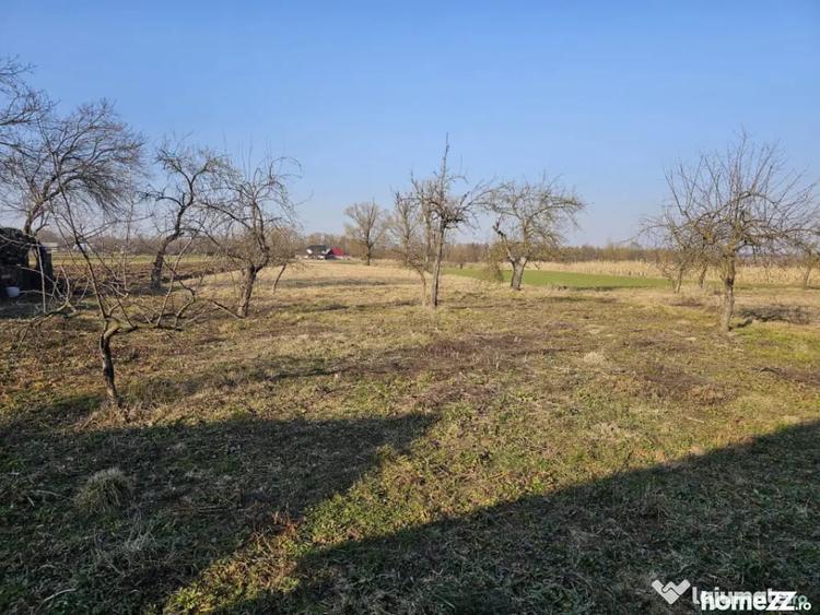 Casă cu 4 camere cu Teren 5400 Mp în Frătăuții Vechi