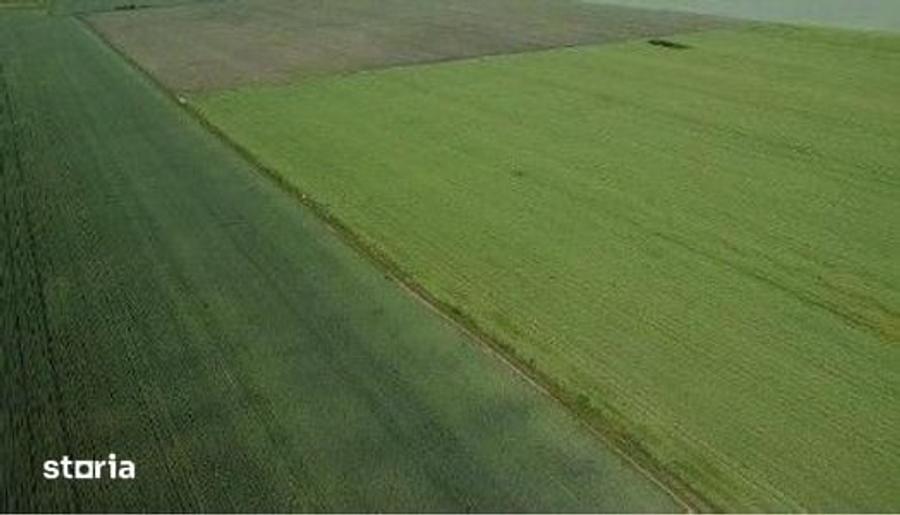 Teren de 4300 mp, în Bălteni