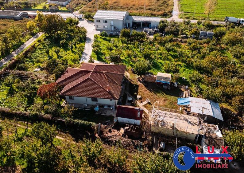 ID 7785 LIVADA SABANGIA DE VANZARE - 32