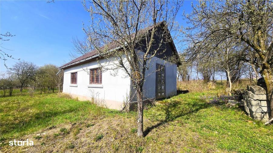 Casa cu 2 camere si livada | Teren 4.395 mp cu alee printre 70 de pomi - 8