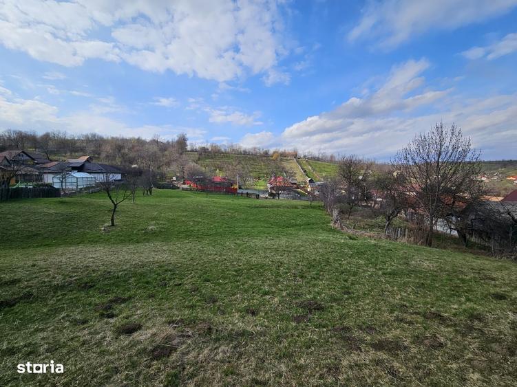 Teren intravilan Comanesti Bacau cu utilitati - 8