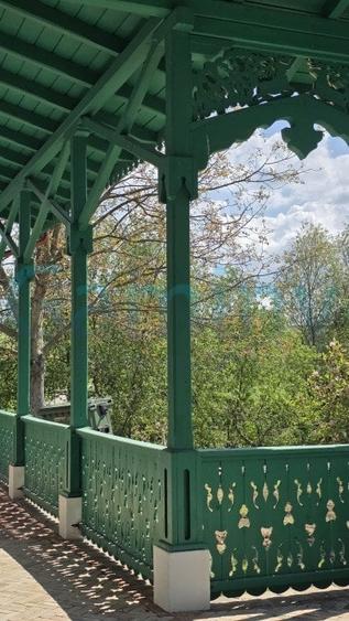 Gaminvest Conac istoric de poveste, restaurat recent – Poiana, Bihor,V4105 - 11