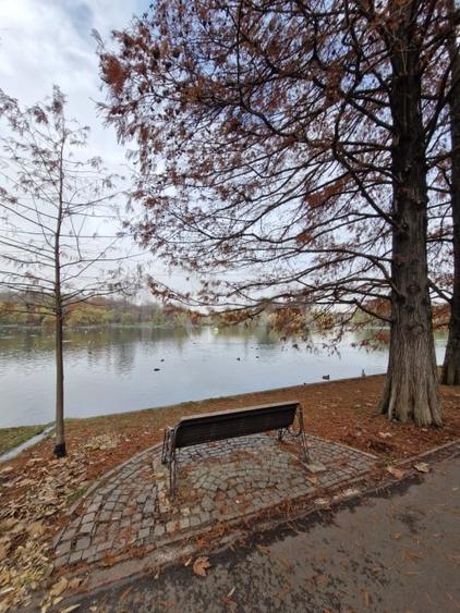 Apartament cu 2 camere la 12 minute de metrourile Dristor 1 si Grigorescu - 29