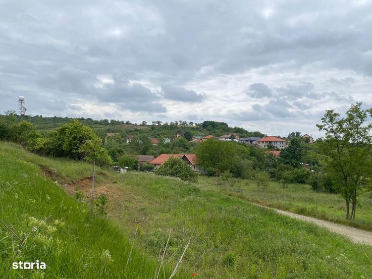 Teren intravilan 867 mp Paleu, zona str. Padurii zona Oncea - 4