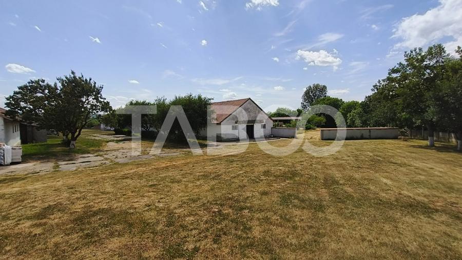 Platforma industriala cu cladiri de vanzare in Salistea de Alba - 22