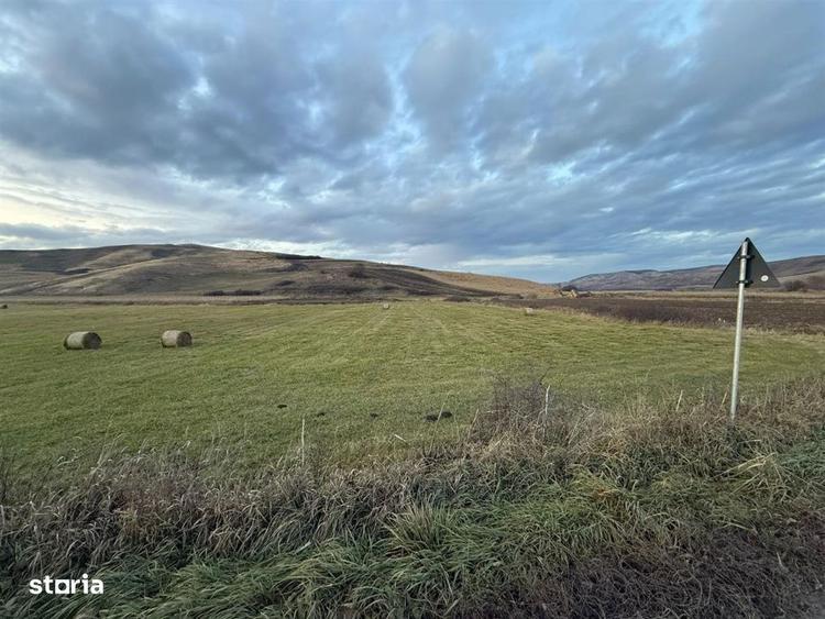 Teren Extravilan I 6000 Mp I Acces la drum | Cojocna - 3