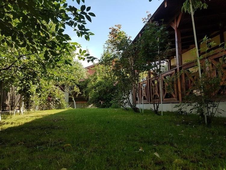 Tartasesti, Gulia - 13