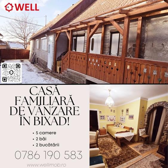 Casă familiară de vânzare în Bixad! - 1