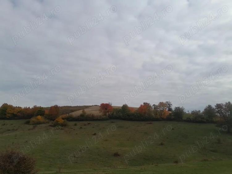 De vanzare,Tomnatic Bihor - 1