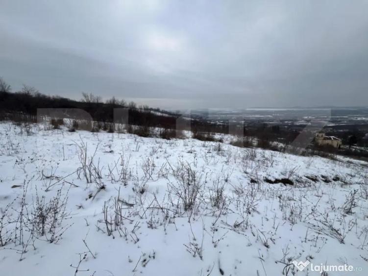 Teren 1240 mp intravilan, Vladiceni - 1