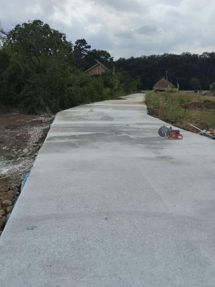 Loturi de casa Balotesi-Saftica langa Dinamo - 3