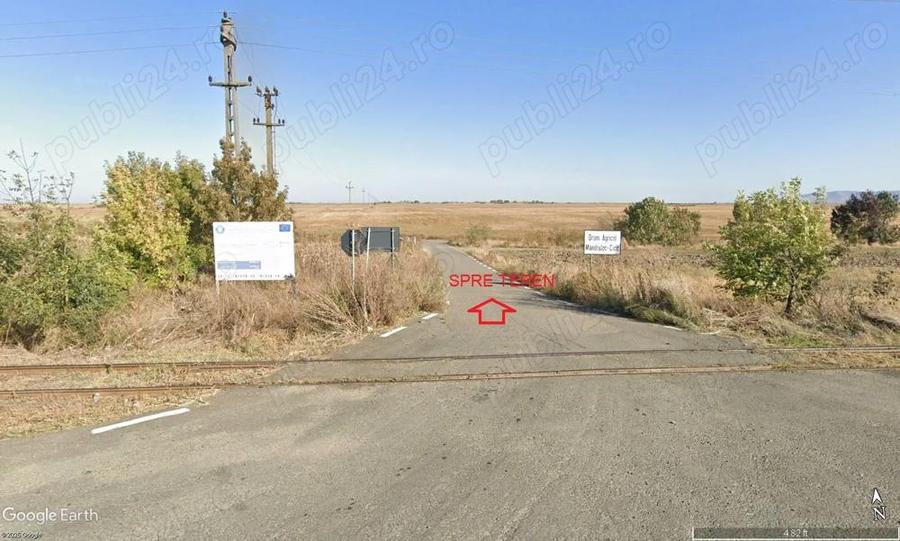 2 ha teren de vanzare in Vladimirescu- Cicir - 4