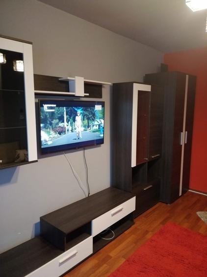 Apartament 1 camera, ultracentral - 1