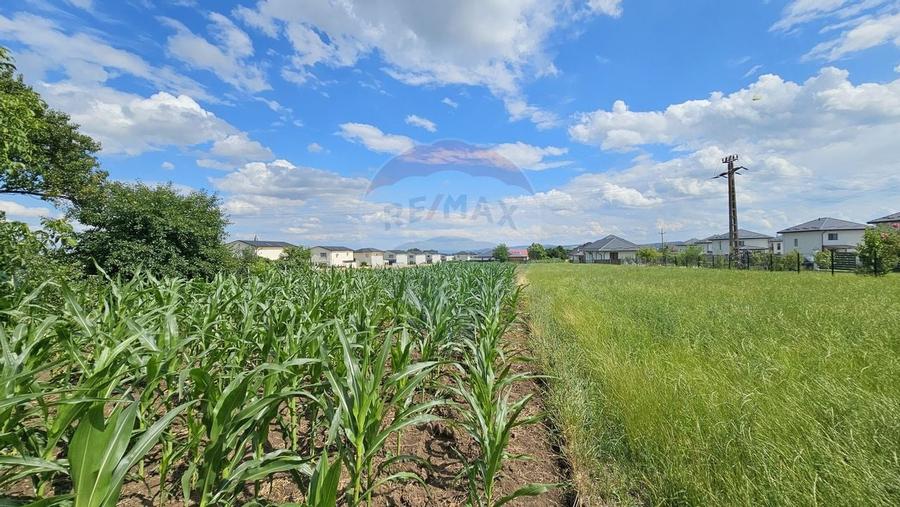 Casa / Vila, teren 1700mp,  in Lisaura-Ipotesti, Suceava - 38