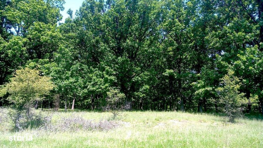 Teren 6350mp Trivale zona Colina verde, stradal - 1