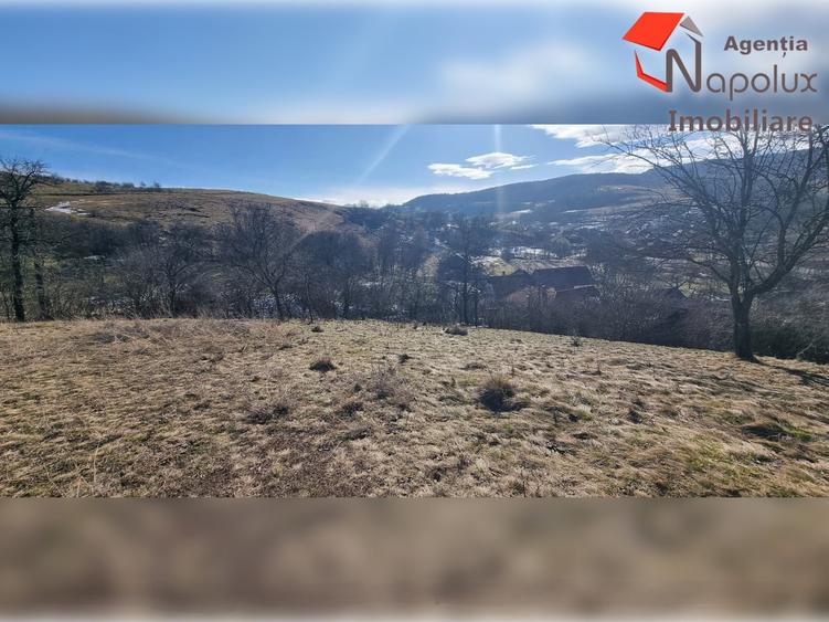 Teren de exceptie 3,1 ha intravilan | Panorama, utilitati, acces dublu | Sard - 9