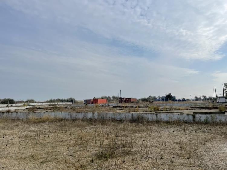 Ovidiu 6 ha teren intravilan construibil îngrădit și platforma betonata. - 16