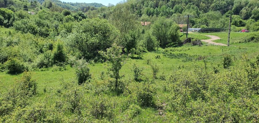 Teren de vanzare 5.850mp Poienita de vis la 2 km de Dunare Crusovita - 3