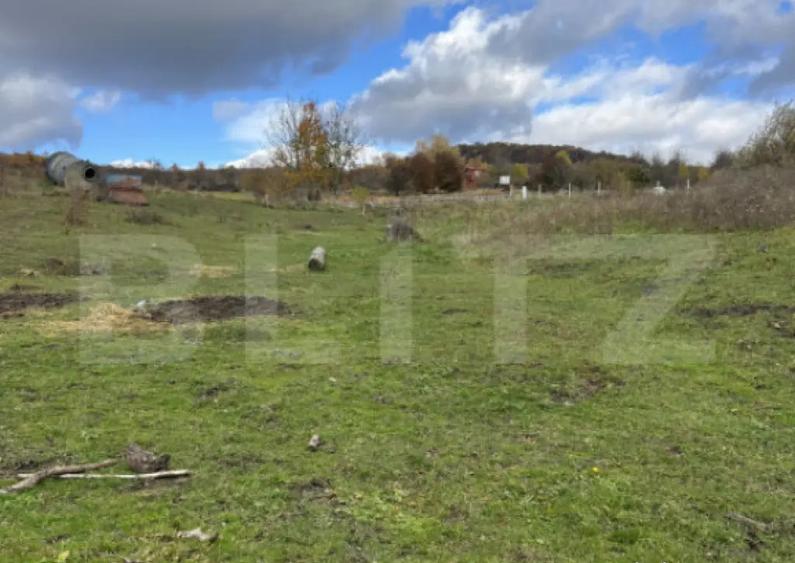 Parcela ideala de 10,5/20/30 ari spa?iu, lini?te ?i - 4