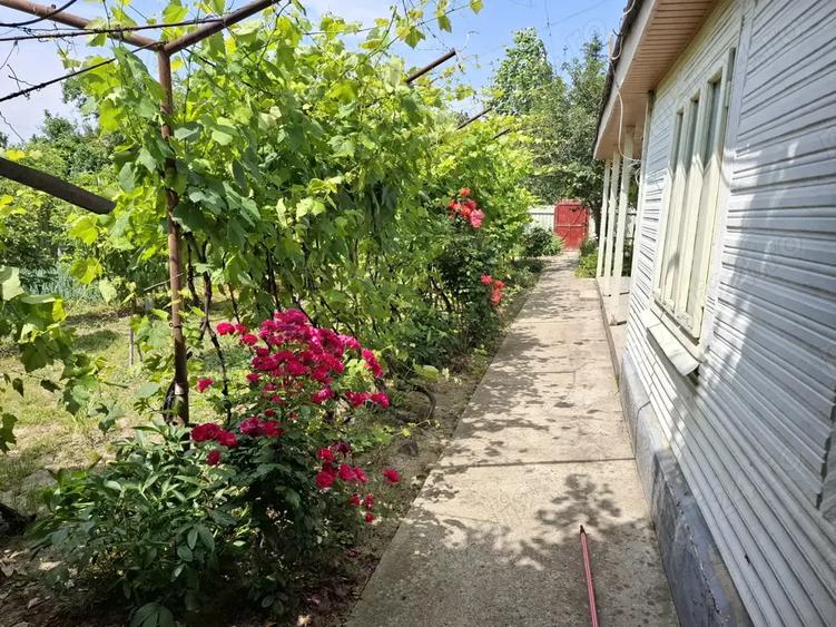 Vand proprietate in comuna Nanesti Vrancea - 3