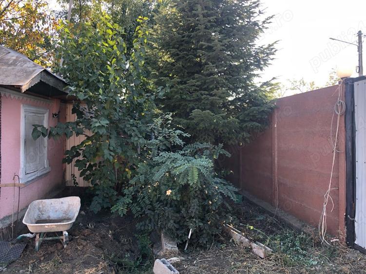 vand 1330 mp intravilan, cu casa batraneasca si container maritim HC, in Alexandru Odobescu,Calarasi - 9