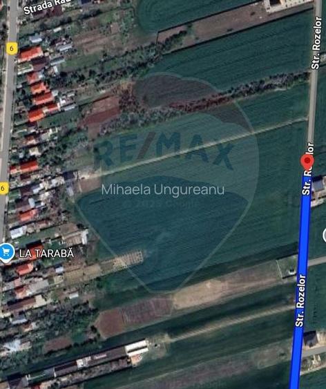 Teren intravilan 3,261mp Balotesti / Strada Rozelor