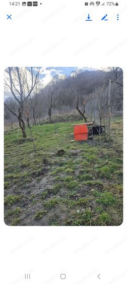 Cabana piloni mintia deva - 1