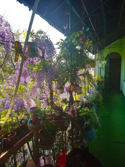 Apartament | 4 Camere | Zona Centrala | Piata Maria - 9