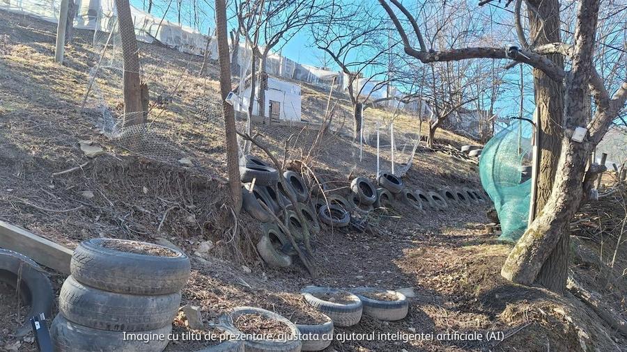 Teren Unic în Tarcau - Oportunitate pentru afacere cu potential turistic! - 4