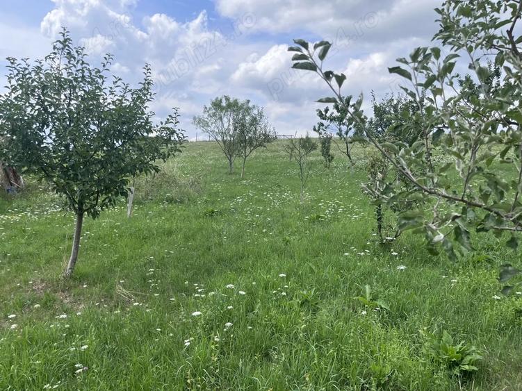 Vand casa construc?ie noua - 4