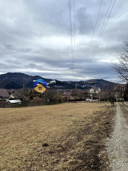 Teren Viisoara - comuna Alexandru cel Bun - 4