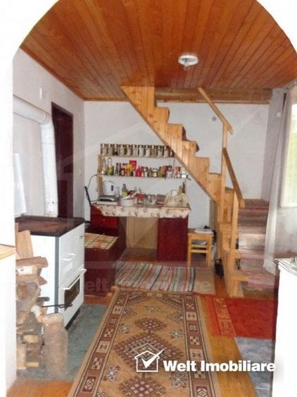 1.6 ha de padure cu poienita, parau la limita curtii, cabana pentru trei familii - 8