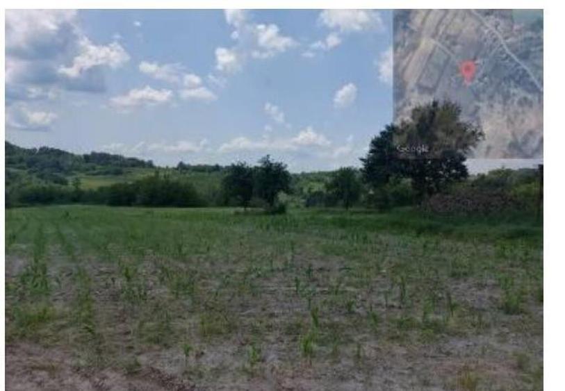 Teren extravilan, loc. Bustuchin, Jud Gorj - 2